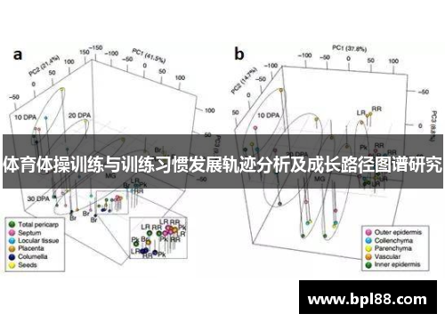 体育体操训练与训练习惯发展轨迹分析及成长路径图谱研究