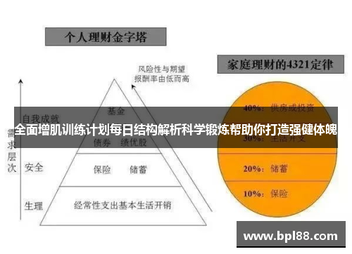 全面增肌训练计划每日结构解析科学锻炼帮助你打造强健体魄